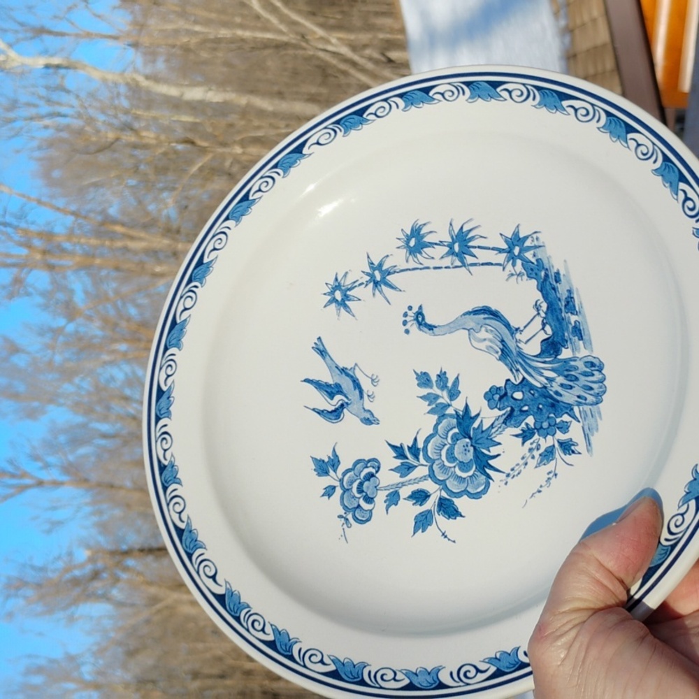 ROYAL GOEDEWAAGEN Vintage Blue ORIGINAL Delft PEACOCK PLATE EVC